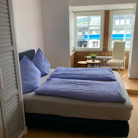 Landhaus Wiesemann Parkappartements & Dependance - Naehe Ettelsberg-Talstation Willingen  Kamer foto