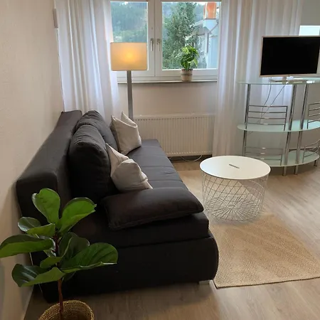 Landhaus Wiesemann Parkappartements & Dependance - Naehe Ettelsberg-Talstation Willingen  Buitenkant foto