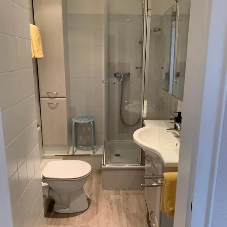 Landhaus Wiesemann Parkappartements & Dependance - Naehe Ettelsberg-Talstation Willingen  Buitenkant foto