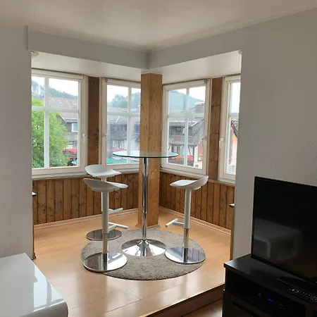 Landhaus Wiesemann Parkappartements & Dependance - Naehe Ettelsberg-Talstation Willingen  Buitenkant foto