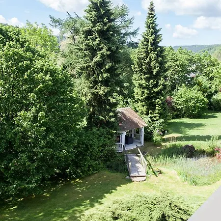 Landhaus Wiesemann Parkappartements & Dependance - Naehe Ettelsberg-Talstation Willingen  Buitenkant foto